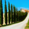 Cypress Road to Villa